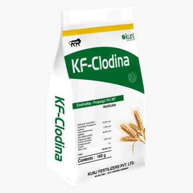 Clodinafop-Propargyl 15% WP