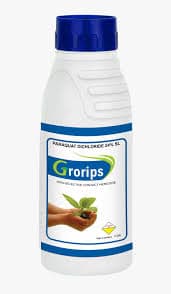 Paraquat Dichloride 24% SL