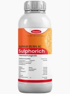 Sulphur 55.16% SC