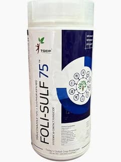 Tebuconazole 10% + Sulphur 65% WG